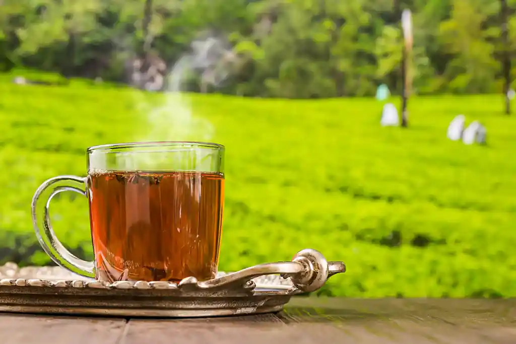 Earl Grey
