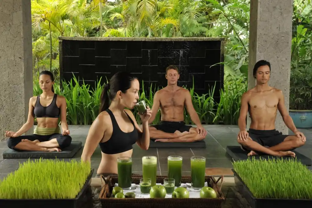 Vegan Yoga Retreats